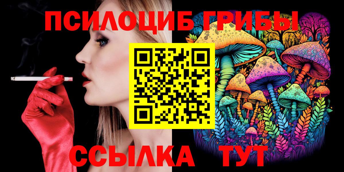 Псилоцибиновые грибы Psilocybe Заволжье