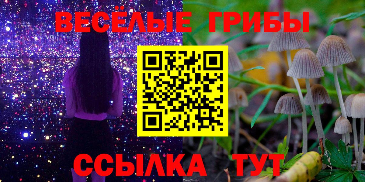 дарнет шоп  Псилоцибиновые грибы GOLDEN TEACHER  Вход с VPN  Заволжье 