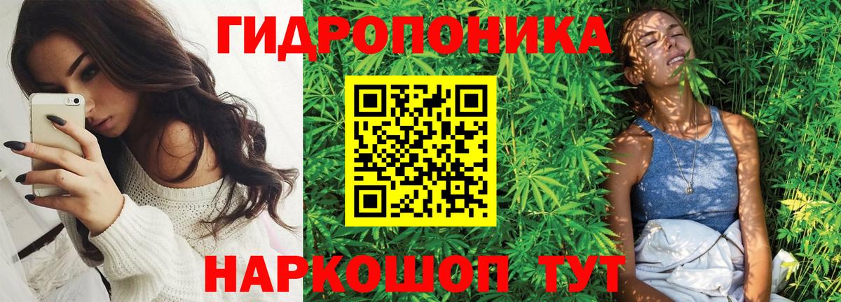 Каннабис гибрид  Бошки Шишки SATIVA & INDICA  Заволжье  Каннабис OG Kush  Вход с VPN 